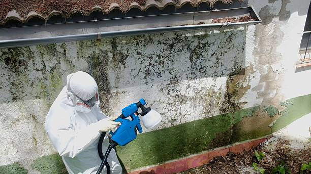 Top rated local Mold Inspection specialists in Sterling, GA